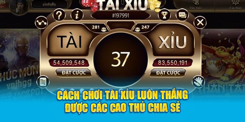 Cách chơi Tài Xỉu luôn thắng từ dân chơi lão làng