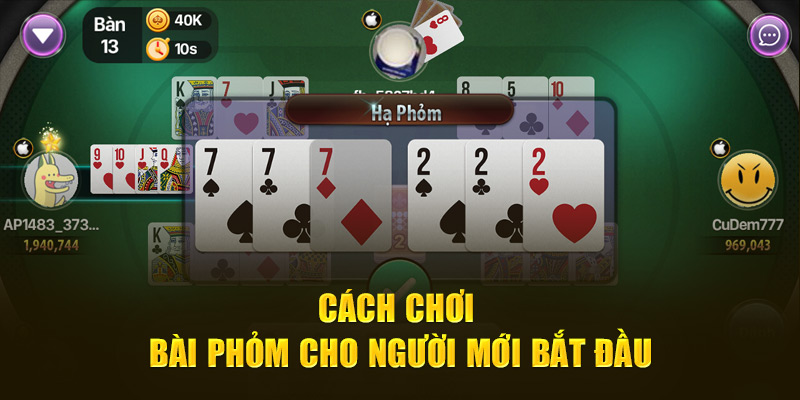 Cách chơi bài Phỏm cho người mới bắt đầu