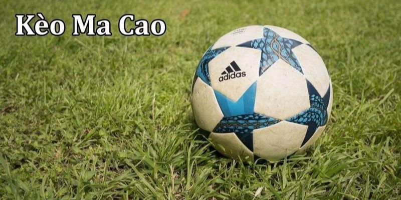 Đánh cược tỷ lệ kèo ma cao sau 15 phút