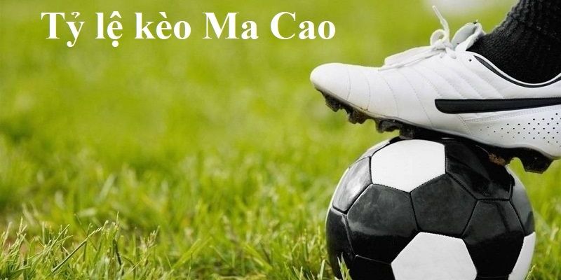 Chi tiết cách xem tỷ lệ kèo ma cao tại 77win